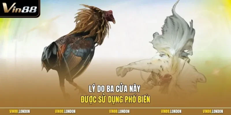 Lý do ba cửa này được sử dụng phổ biến